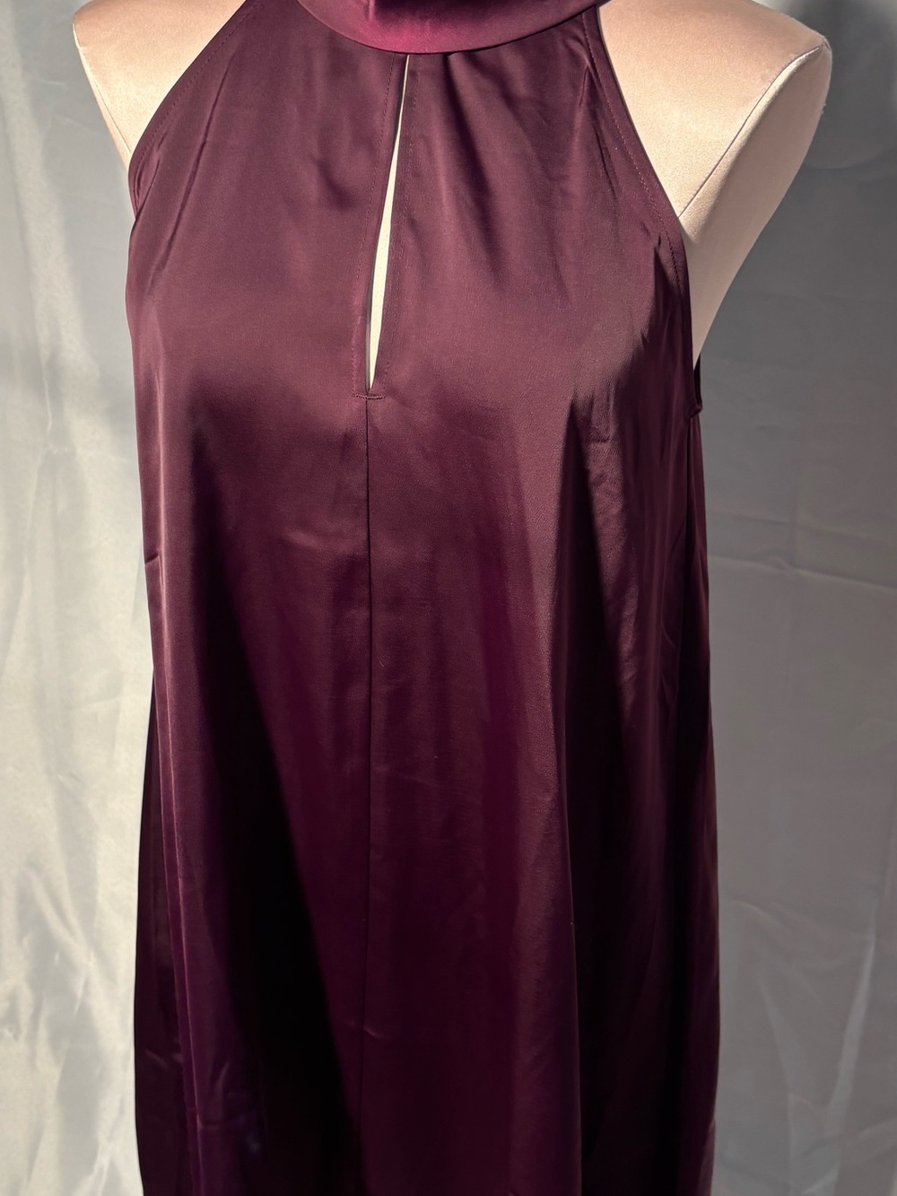 Banana Republic Women’s Sleeveless Keyhole Halter Dress in Plum NWT